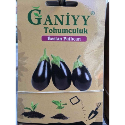 Ganiyy Bostan Patlıcan Tohumu Kaliteli Güvenilir