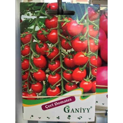 Ganiyy Çeri Cherry Domates Tohumu Kaliteli Güvenilir