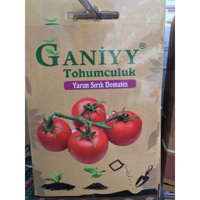 Ganiyy Yarım Sırık Domates Tohumu Kaliteli Güvenilir