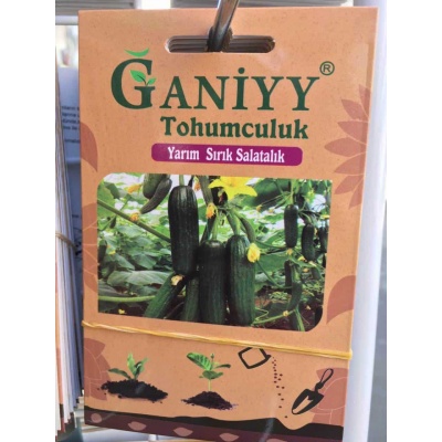 Ganiyy Yarım Sırık Salatalık Tohumu Kaliteli Güvenilir